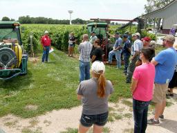 Gary Thompson, owner of Old Cellar Vineyard, discusses mechanization practices at the UNL Viticulture Field Day on July 16.  |  Photo by Stephen Gamet