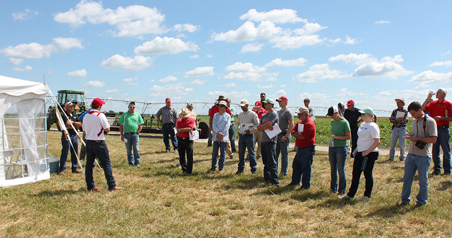  Rodrigo Werle, UNL cropping systems specialist, discusses the new Inzen sorghum cultivar project.