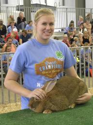 A Lancaster County 4-H'er earned Reserve Champion Commerical Rabbit with her Flemish Giant.
