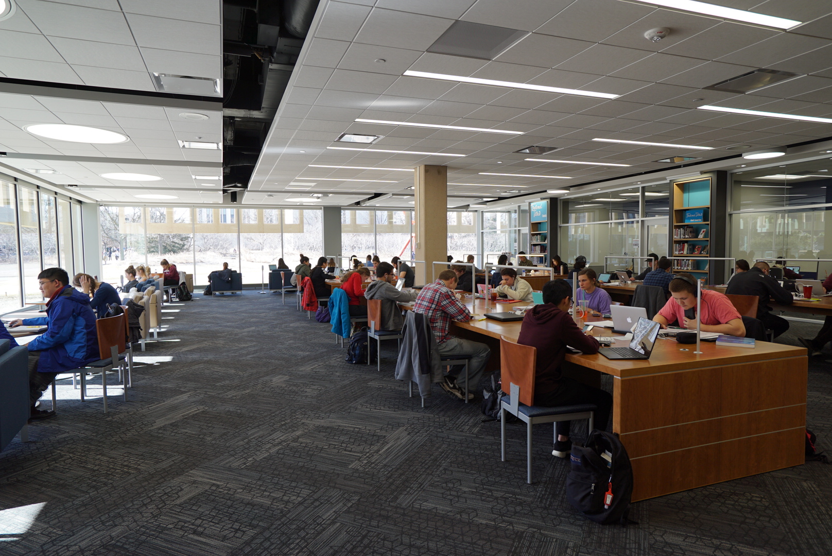 Students studying in the Adele Hall Learning Commons