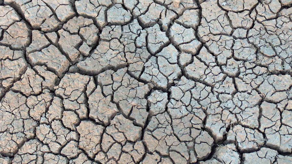  A University of Nebraska-Lincoln research team has earned a grant to create an online tool to help policymakers in making drought-related decisions.
