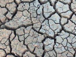  A University of Nebraska-Lincoln research team has earned a grant to create an online tool to help policymakers in making drought-related decisions.