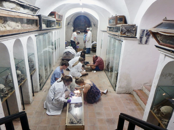 Students examine mummies in the crypt beneath the Capuchin Church of Santa Lucia del Mela, Sicily. | Courtesy image