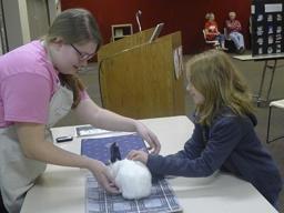 4-H Rabbit Clinic sessions includes showmanship.