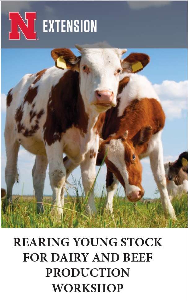 Rearing Young Stock.jpg