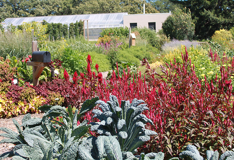 Backyard Farmer garden, University of Nebraska–Lincoln