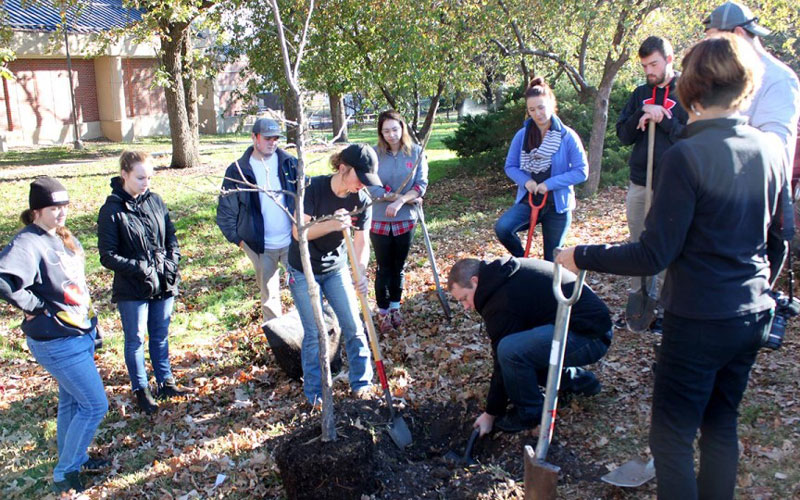 Students in Kim Todd's landscape design class plant trees on East Campus in November. The class works closely with Landscape Services on planting projects around campus. Lana Johnson | Agronomy and Horticulture