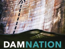 Offical movie poster for "DamNation" | Courtesy of DamNationFilm.com