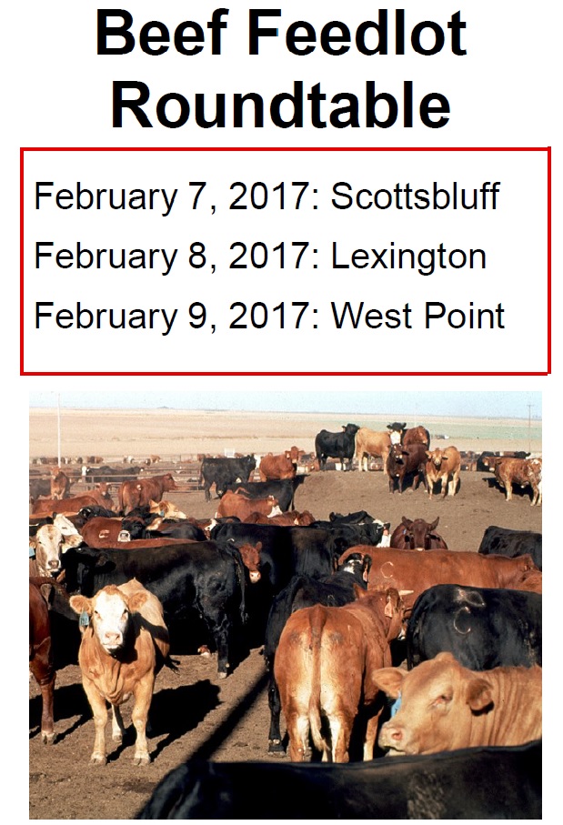 Feedlot Roundtable 2017.jpg