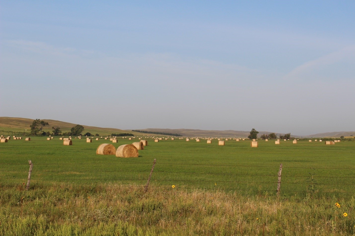  The greatest returns with fertilization are when hay values are high and fertilizer costs are low.  Photo courtesy of Jerry Volesky.