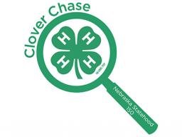 Clover Chase.jpg