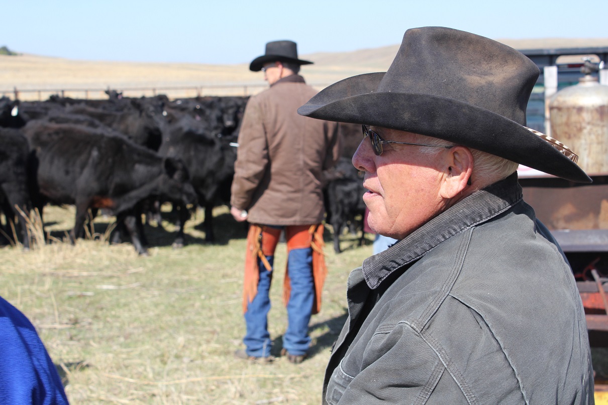 A system of financial analysis developed nearly 100 years ago is a useful tool for ranch managers analyzing financial performance.  Photo courtesy of Troy Walz.