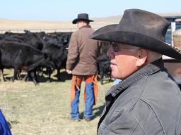 A system of financial analysis developed nearly 100 years ago is a useful tool for ranch managers analyzing financial performance.  Photo courtesy of Troy Walz.