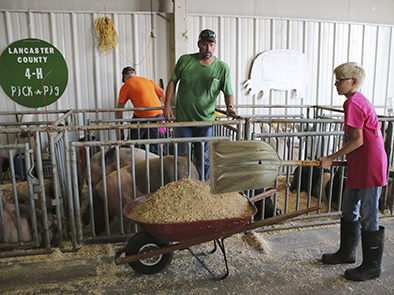 The Pick-A-Pig 4-H club is a great opportunity to experience showing a livestock animal at the Lancaster County Super Fair.