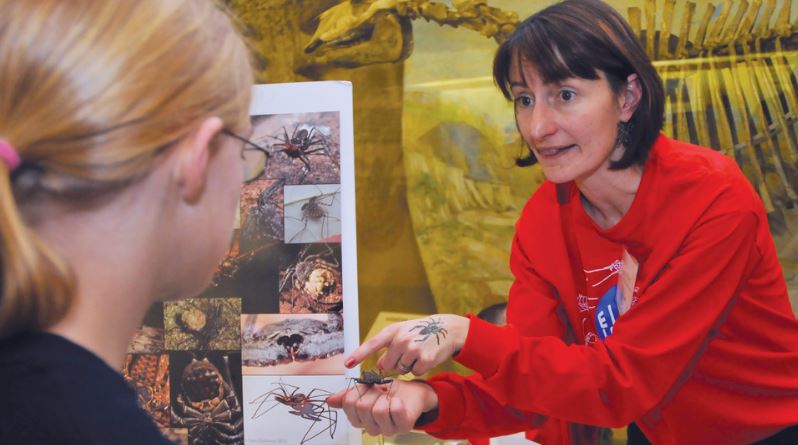 Nebraska's Eileen Hebets discusses her arachnid research with a teenager during a Sunday with a Scientist program at Morrill Hall (Troy Fedderson | University Communications)