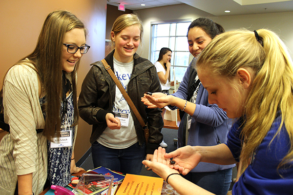 2017 Women in Science students explore the entomology workshop.