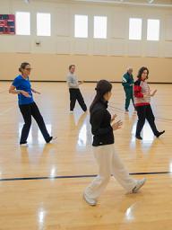 OLLI Tai Chi class