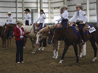 Scene from the 2016 District horse held in Lincoln at the Lancaster Event Center.