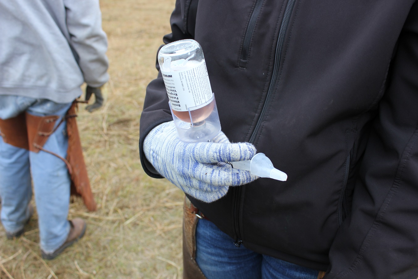 An appropriate Herd Health Program ensures that all cattle are raised in the best health.  Photo courtesy of Troy Walz.