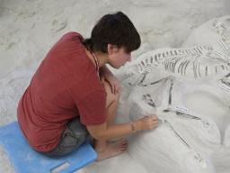 Paleontology intern Mikayla Struble works on a Pseudhipparion fossil at Ashfall Fossil Beds State Historical Park in 2016. | Courtesy image