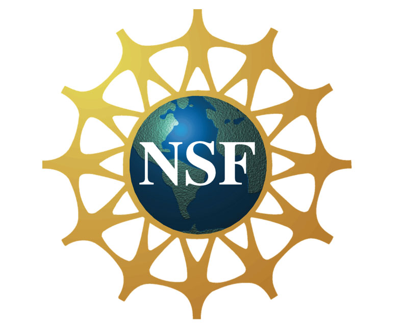 National Science Foundation 