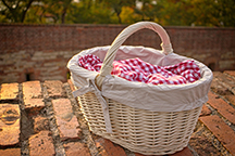 Picnic on the prairie