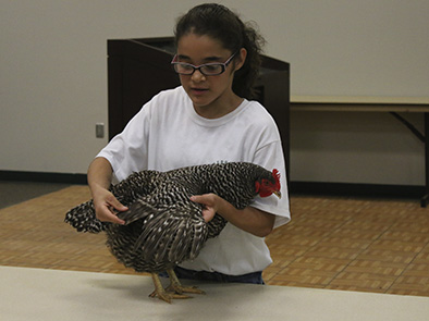 A 4-H poultry presentation from the 2016 Lancaster County Super Fair