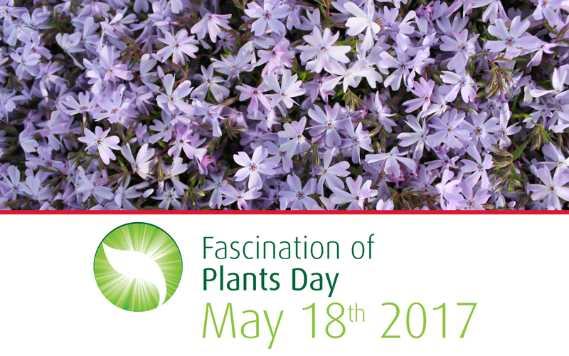Fascination of Plants Day