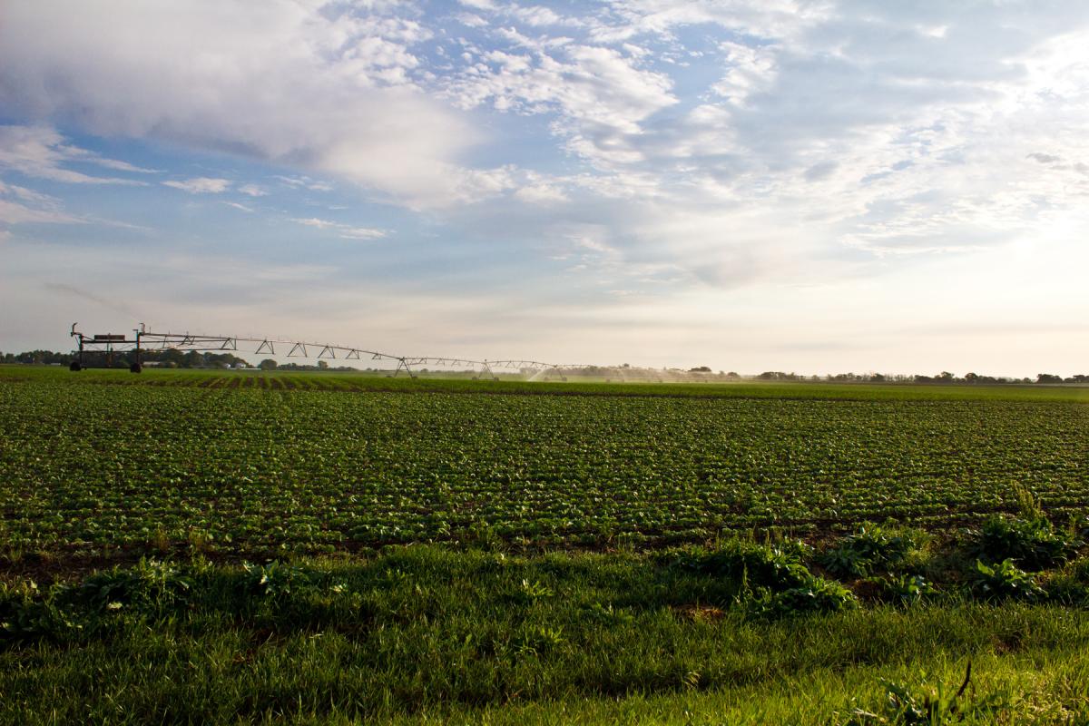 Nebraska researchers are involved in a USDA/ARS project to develop a model for engaging communities and stakeholders to ensure adequate supplies of good-quality water both for and from agriculture. | Courtesy IANR News