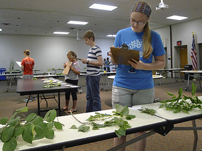 Plant Science Contests 2016 - 01.jpg