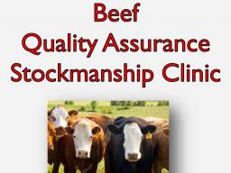Beef Quality Assurance Stockmanship clinic.jpg