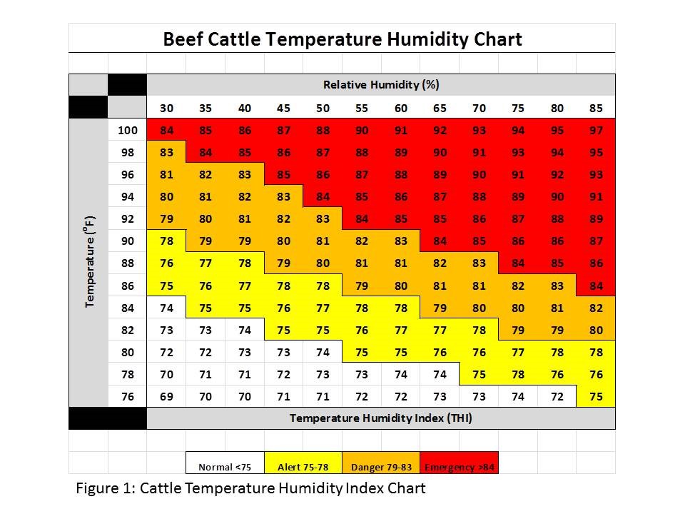By implementing some handling guidelines, cattlemen can reduce the risk level of heat stress and improve cattle performance.