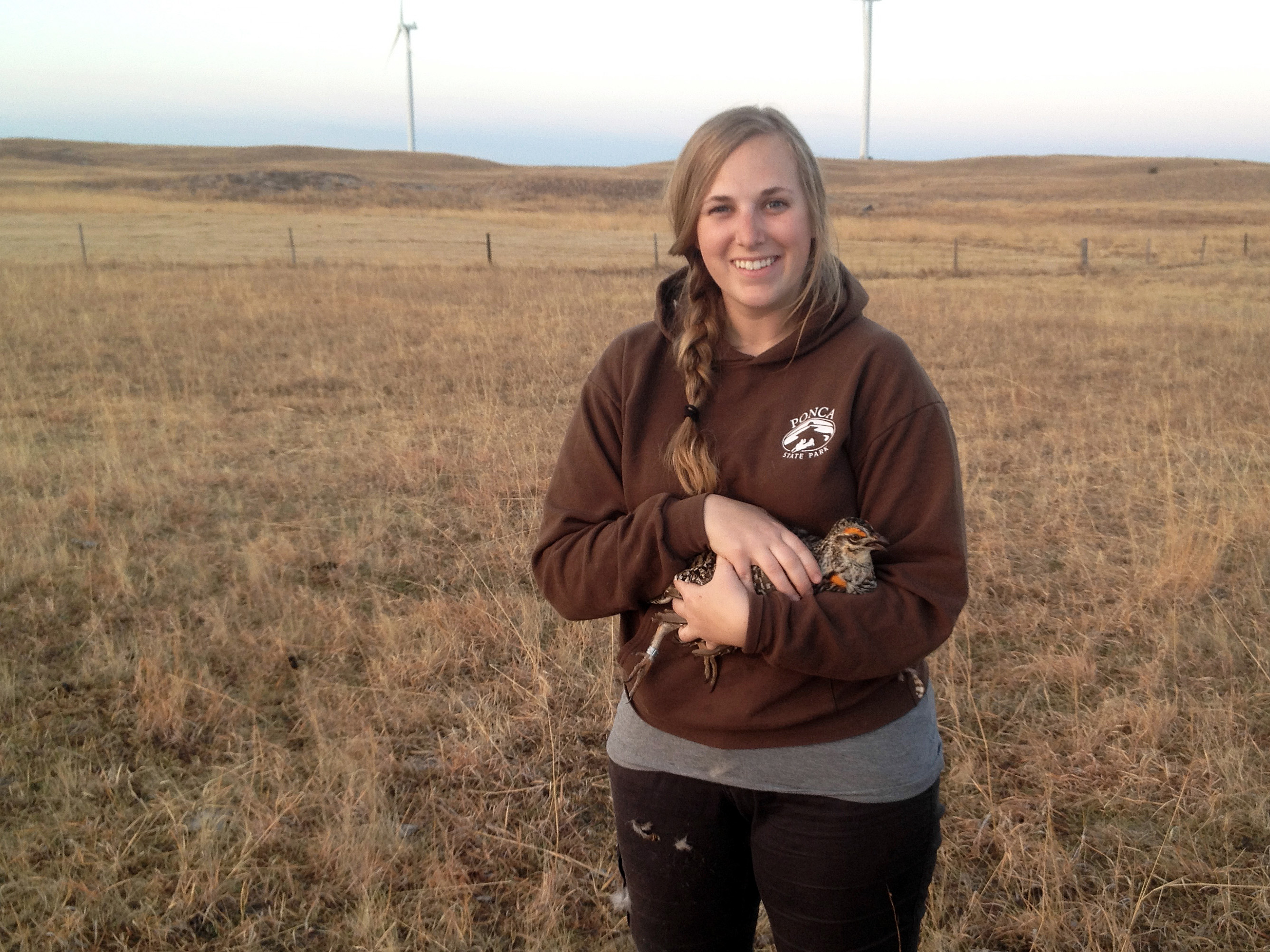 Jocelyn Harrison conducts greater prairie-chicken research in the Sandhills of Nebraska. | Courtesy image