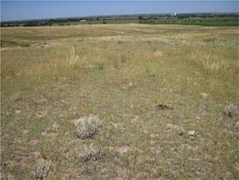  Pasture Rangeland and Forage Insurance is a risk management tool.  Photo courtesy of Aaron Berger.