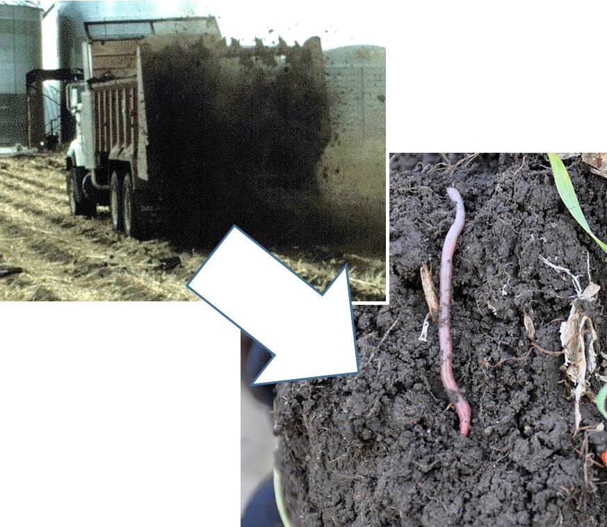 Manure improves soil physical properties such as soil aggregate formation. Photo courtesy of USDA NRCS Soil Health flickr collection.