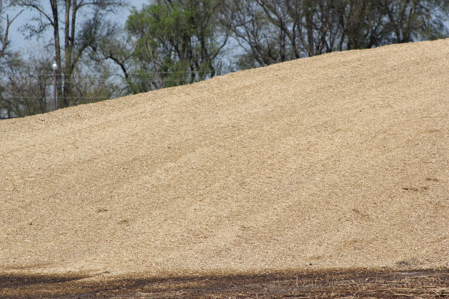 If silage is not correctly packed into a bunker (or bagged or put in silos), oxygen will remain in the pile which leads to greater shrink losses. Photo courtesy of Troy Walz.