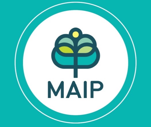 MAIP allows students to work at prestigious advertising agencies on various accounts, interact with advertising professionals on a day-to-day basis, and gain valuable professional credentials. 