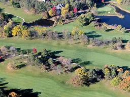 Golf Course Woodland.jpg