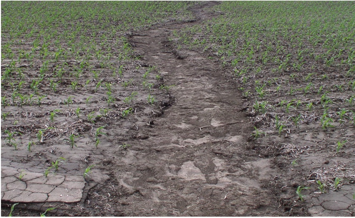 Can manure be part of the solution for the erosion in this photo?  Photo courtesy of Rick Koelsch.