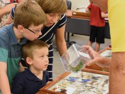Entomology Research Technologist Steve Spomer shows a butterfly to guests at Bugfest 2016.