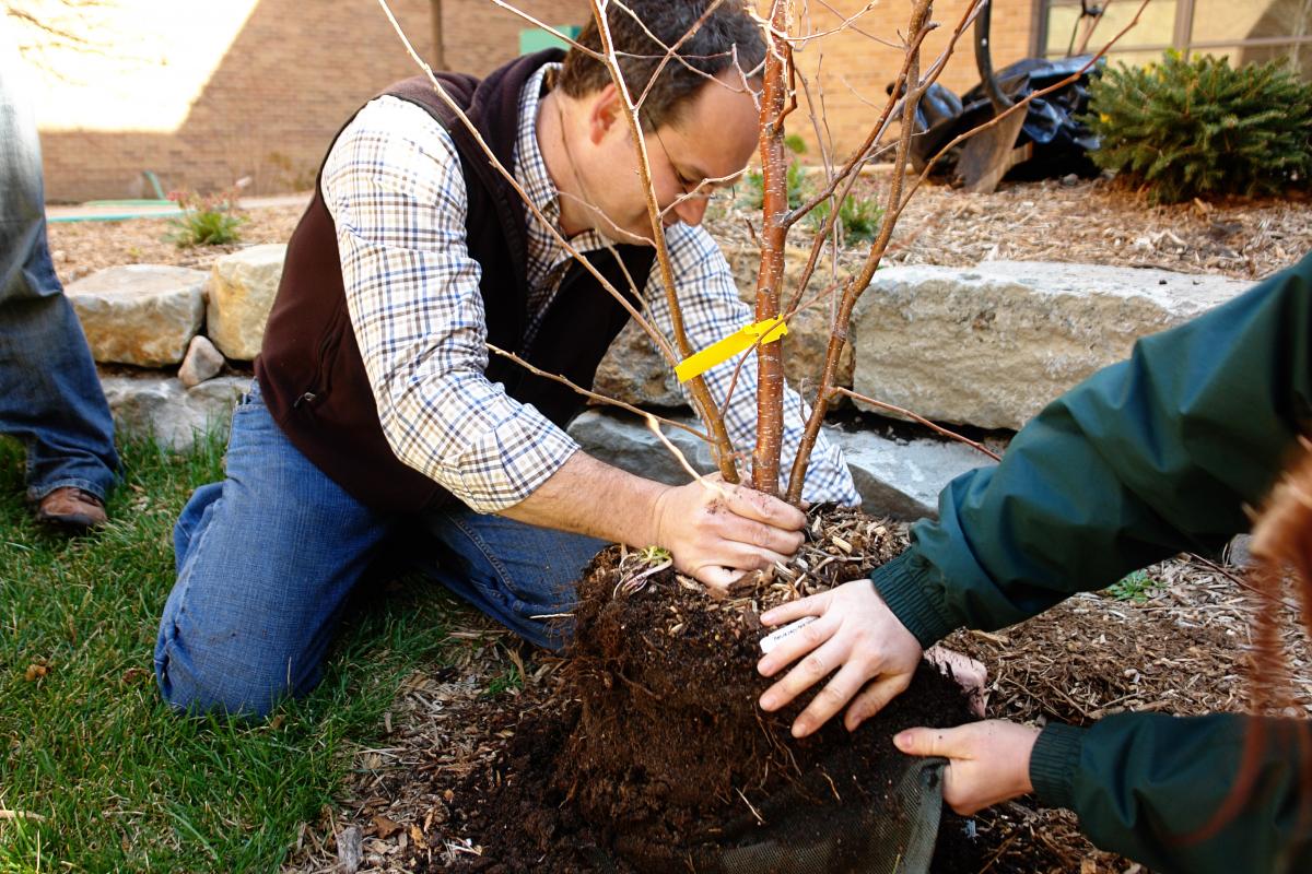 Hands-on tree planting training will be offered as part of "Re-Tree the Family Fun Zone" Oct. 21 in Grand Island. (Justin Evertson)