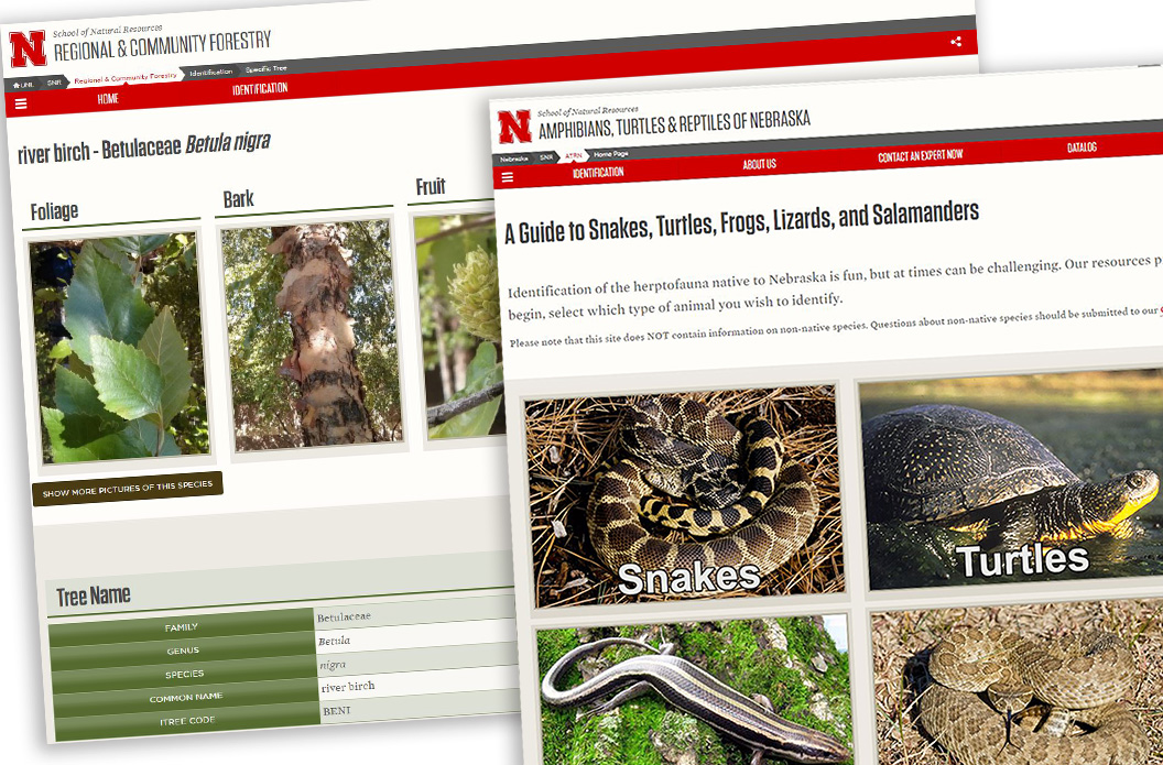 The herpetology and tree websites at SNR are designed to make information easily available to the public. 