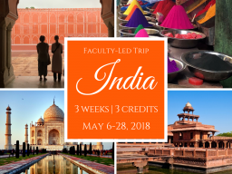 India Trip, May 6-28