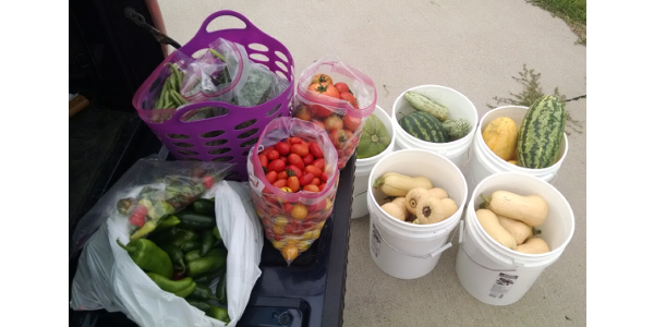 Produce donated to Hope Harbor on August 9th