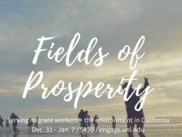 Fields of Prosperity