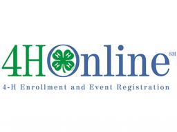 4H Online logo.jpg