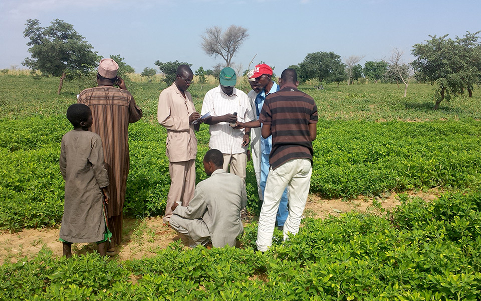 Researchers from Niger are doing an in-field assessment of the soil at one of their on-farm trial sites testing the sand content, soil pH, and electrical conductivity and depth. Charles Wortmann  |  University of Nebraska–Lincoln Agronomy and Horticulture