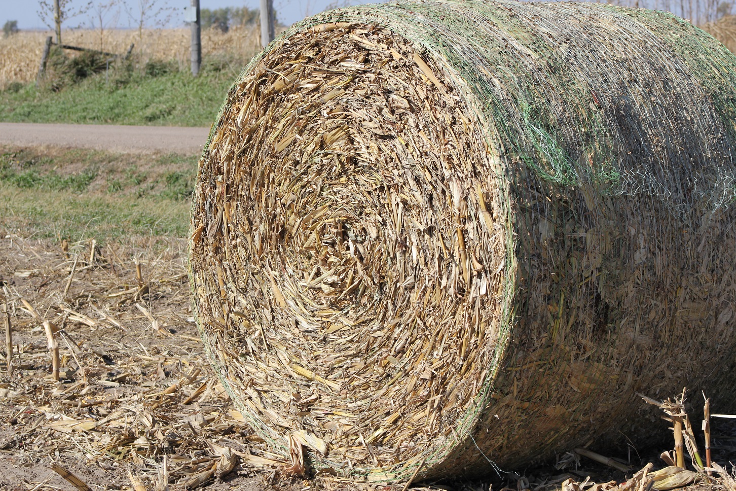 Neither plastic net wrap nor biodegradable twine get digested by rumen microbes.  Photo courtesy of Troy Walz.