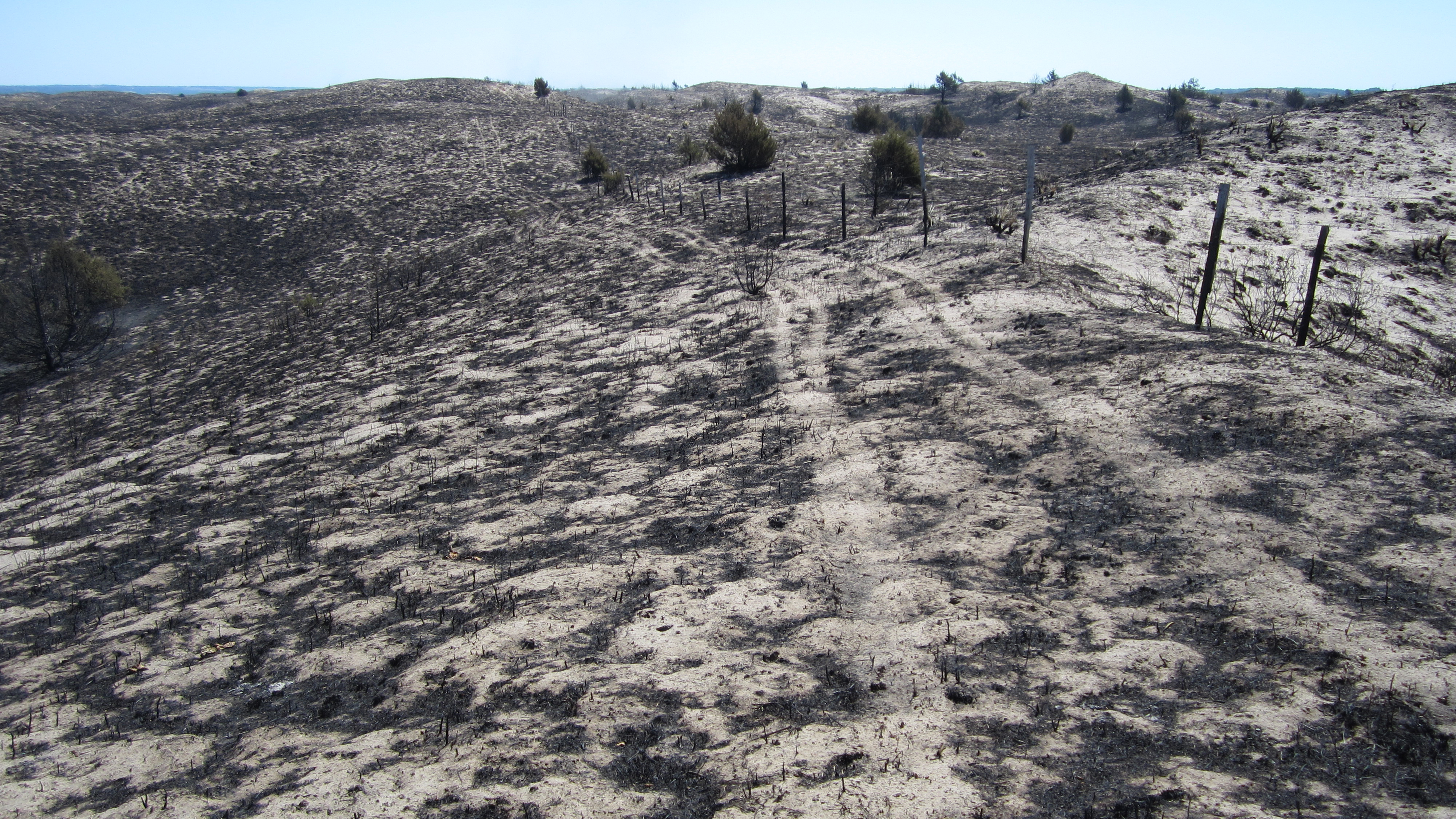 Sandhills grasslands are reduced to ash, days after a wildfire swept through the Niobrara Valley Preserve in July 2012.  |  Chris Helzer, The Nature Conservancy