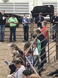 Lancaster County 4-H youth judging at the 2017 statewide Premiere Animal Science Events